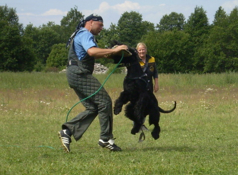 Training in Estonia 6/2007